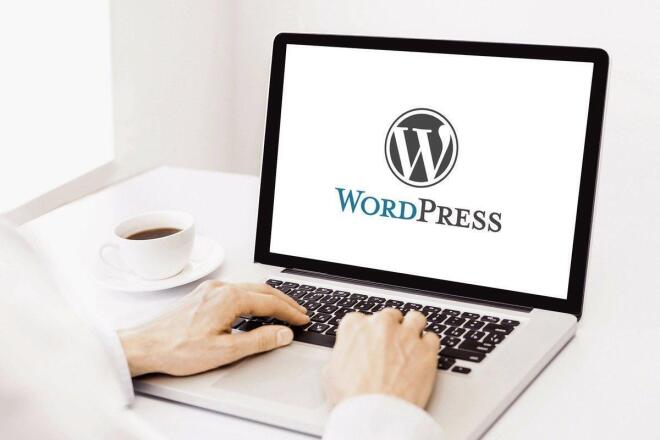 wordpress development doha